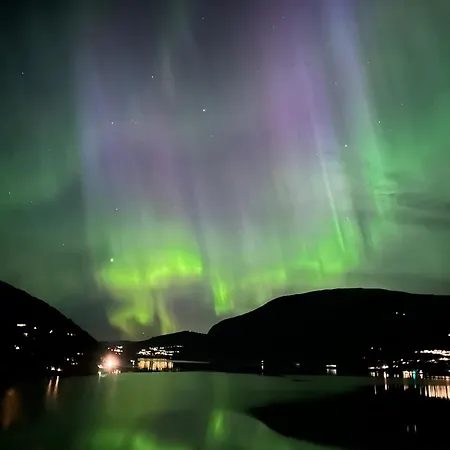 Olden House 65 度假居 史特林